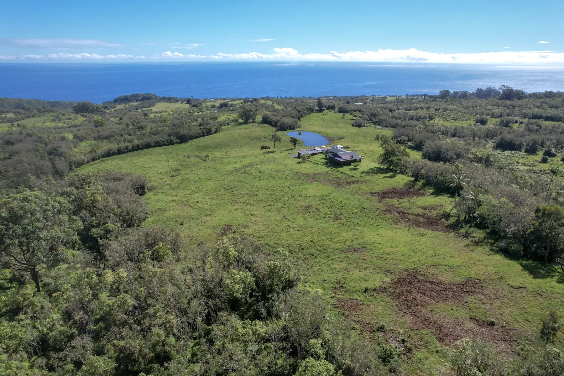 Pasture and forest above the Hamakua Coast